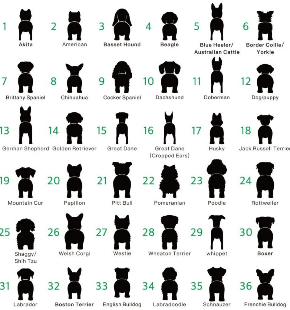 Breeds numbers