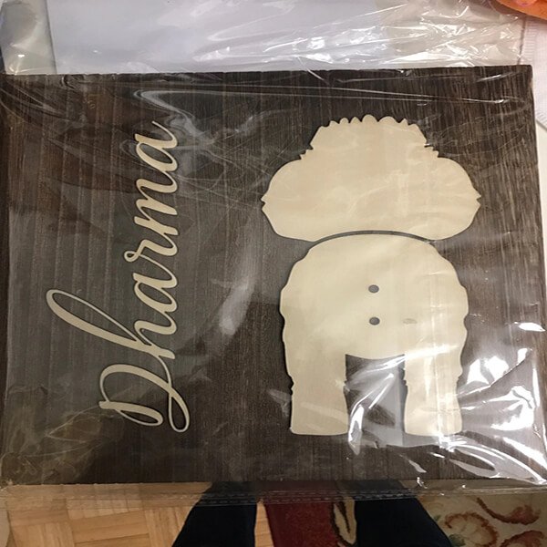 Greg peterson testimonial