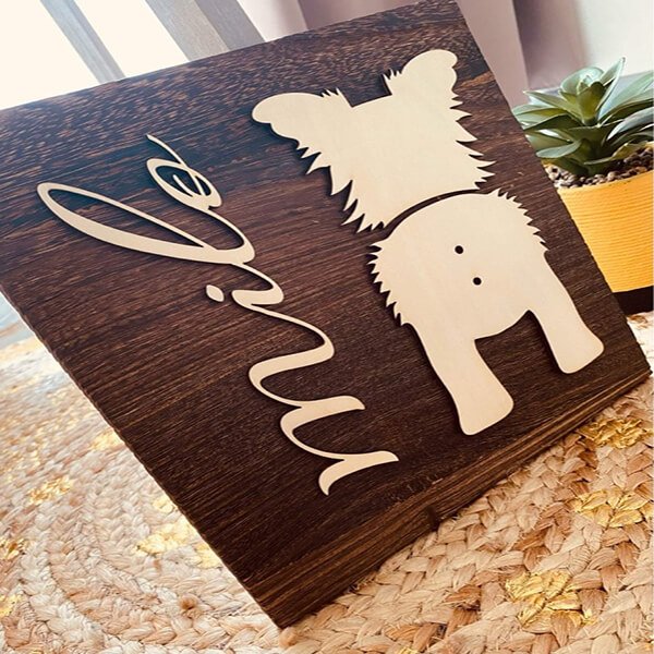 John micheals testimonial